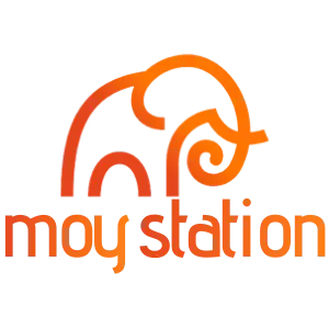 Moy Station